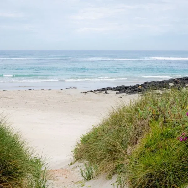 1 day great ocean road tour