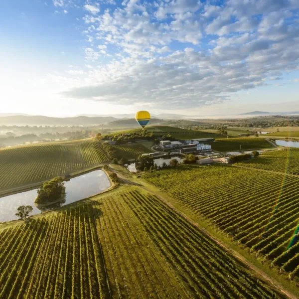 Gather Yarra Valley