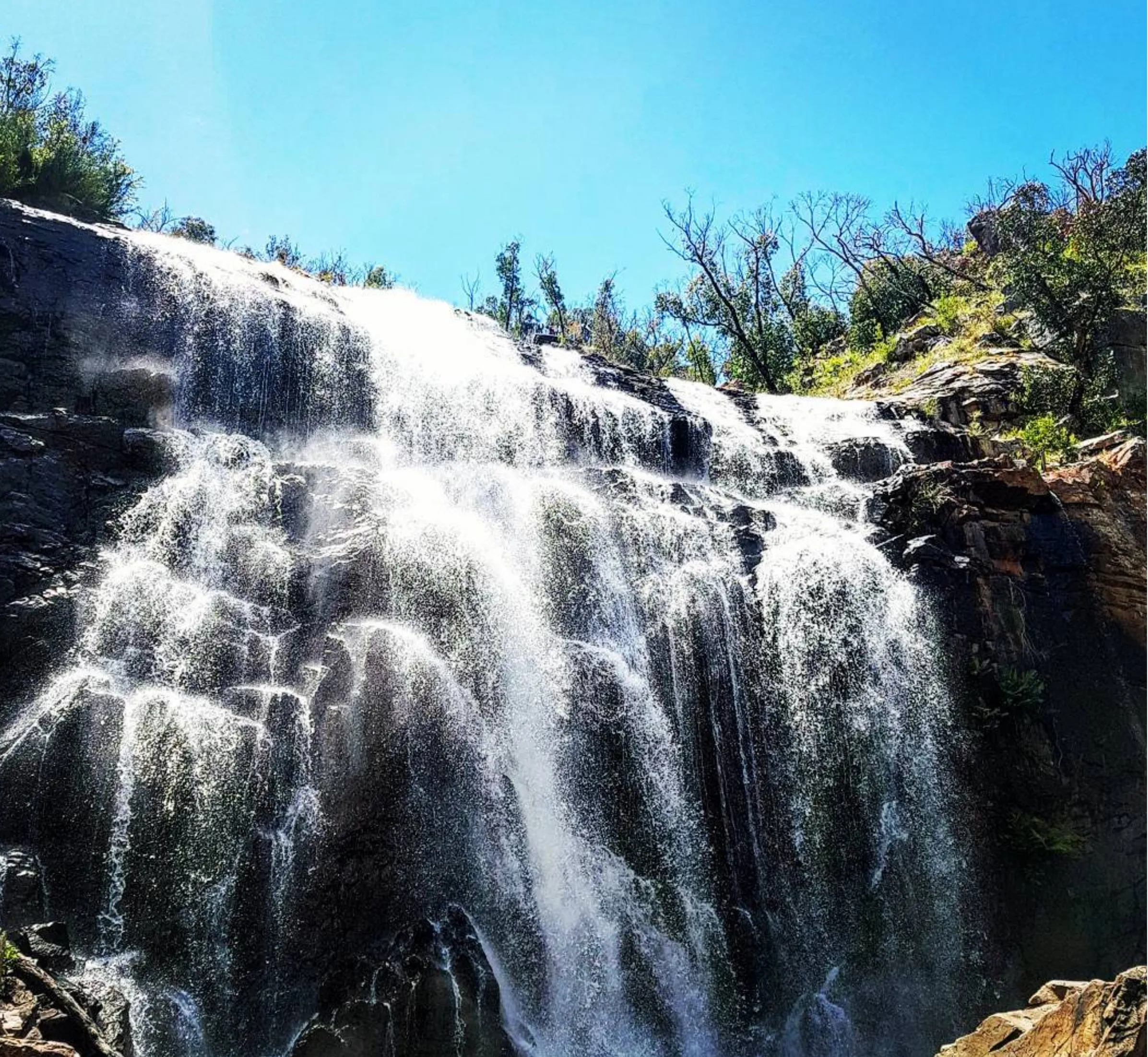 Mackenzie Falls Walk