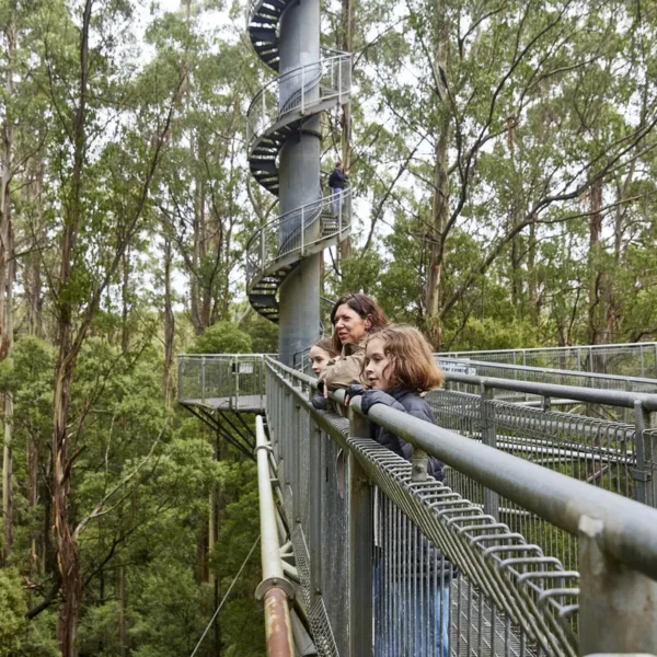 Otway Coast