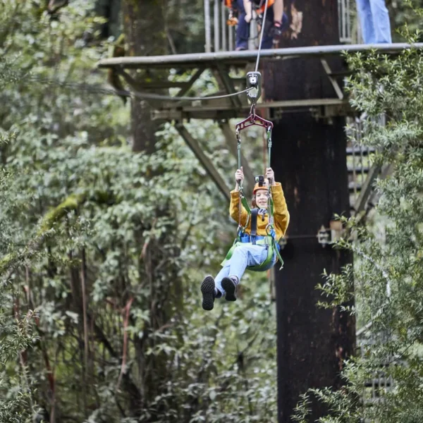 Otway Forest