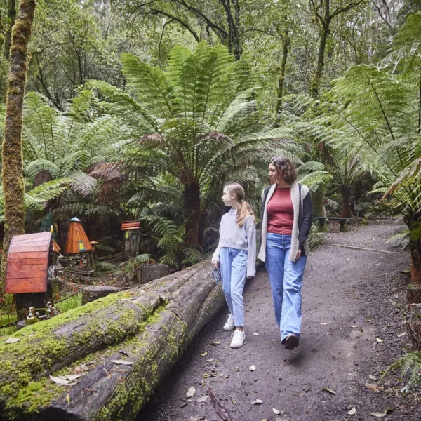 Otway Forest Park