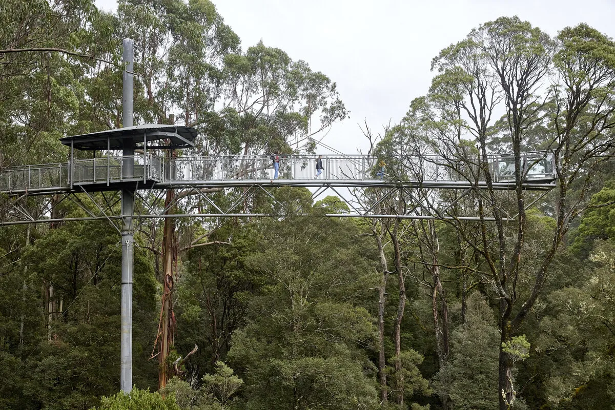 Otways and Great Ocean Road