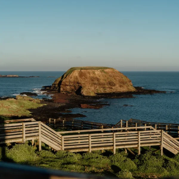 Phillip Island Tour