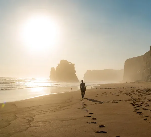 Reverse Great Ocean Road Tour