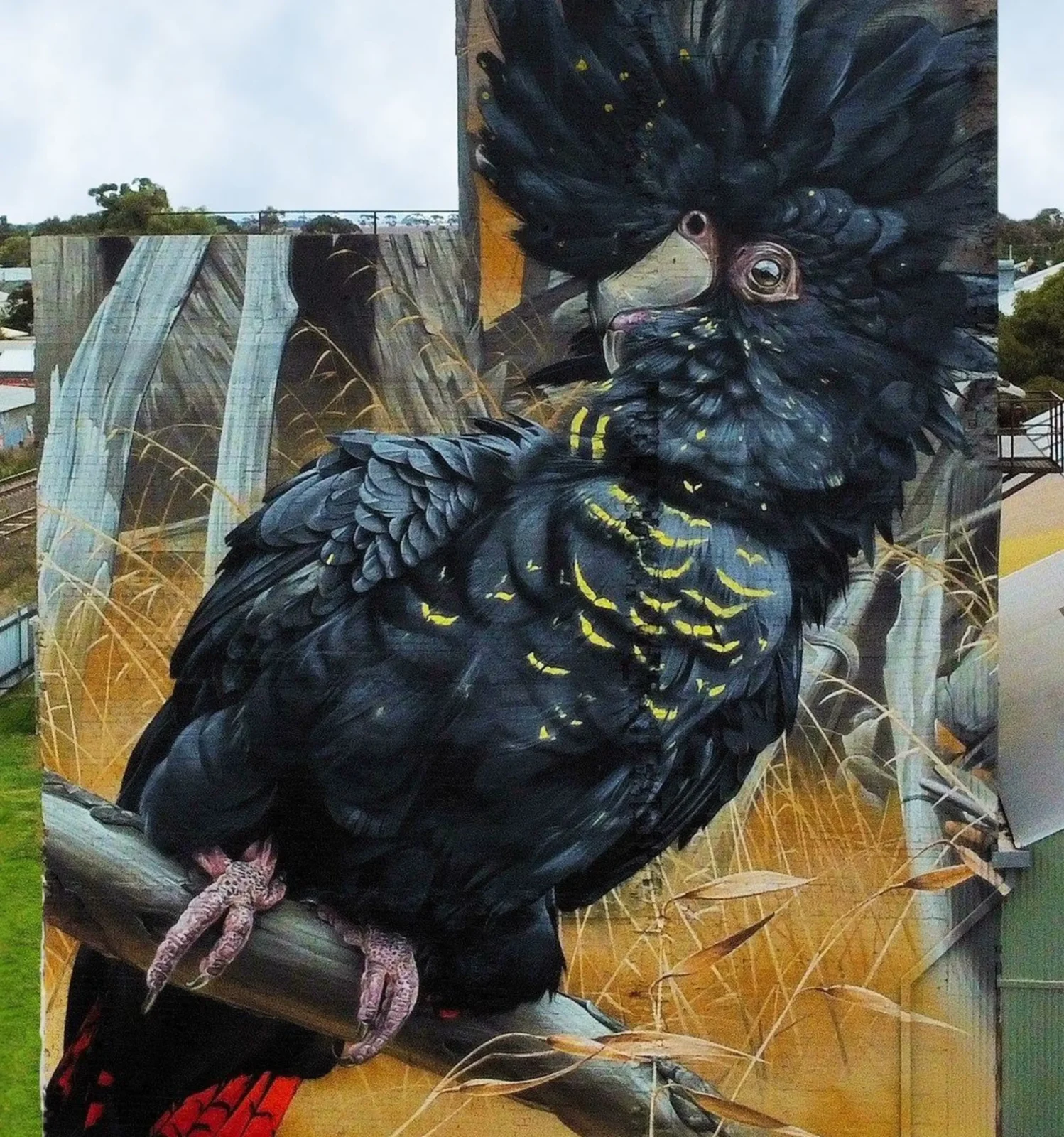 Rosehaven Farms Halls Gap