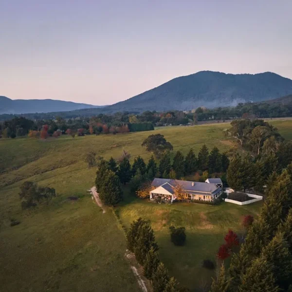 Yarra Valley Wine Experience
