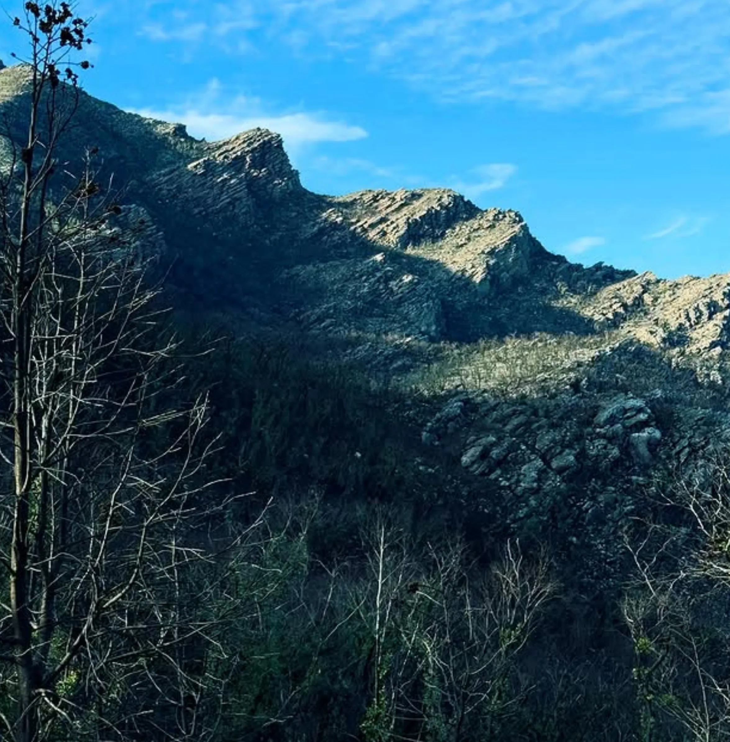 Zumstein Historical Walk