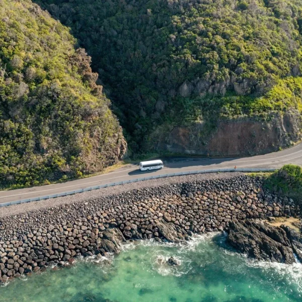 anglesea to lorne