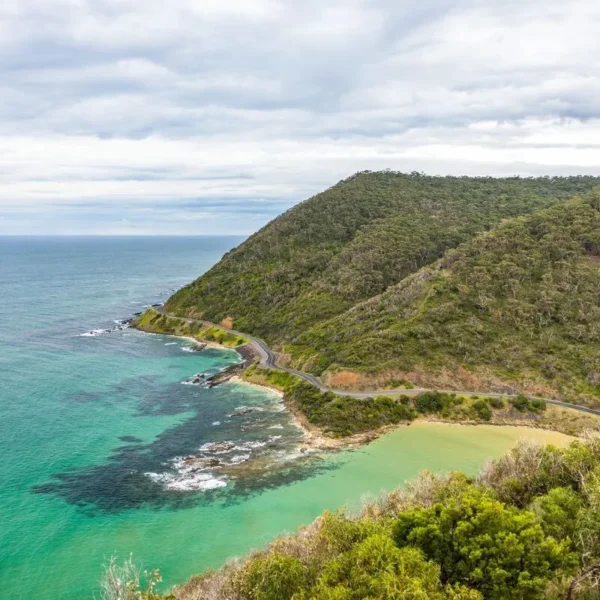 best great ocean road tours