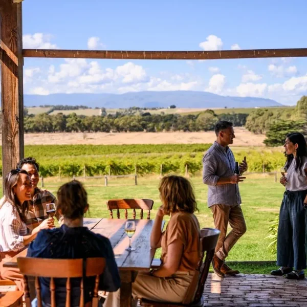 best yarra valley wine tour