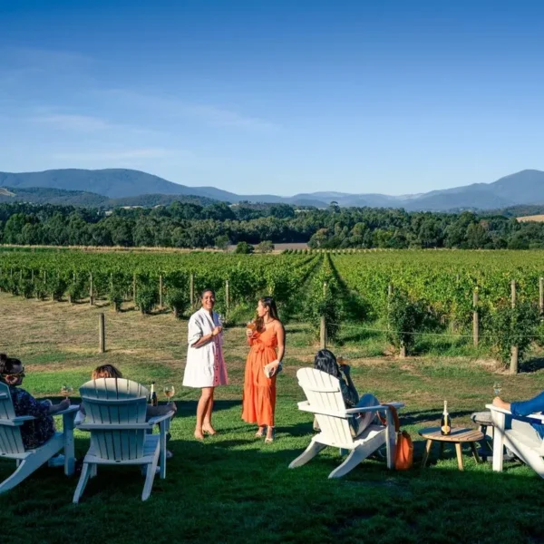 best yarra valley wine tours