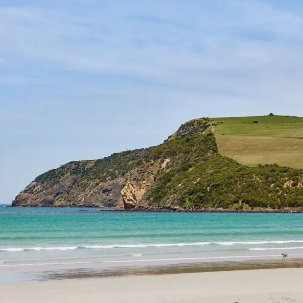 day trip to great ocean road