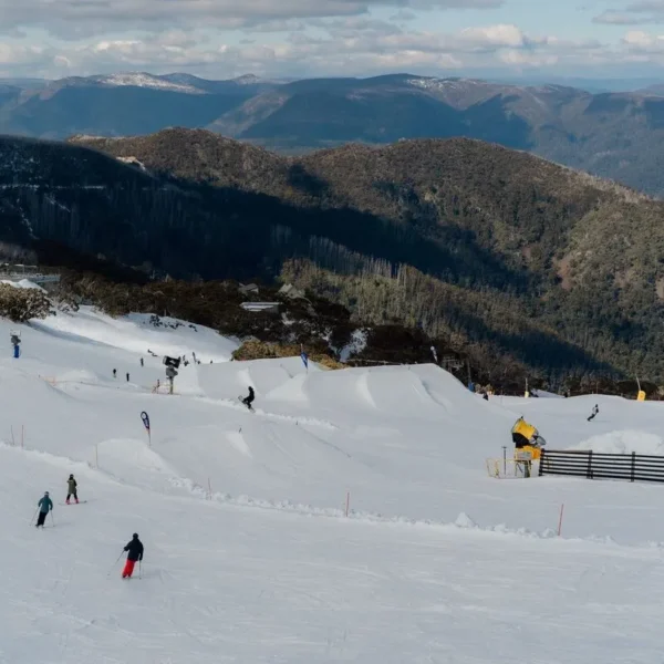 day trip to mount buller