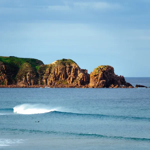 day trip to phillip island melbourne