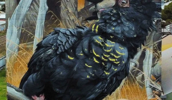 Rosehaven Farms Halls Gap