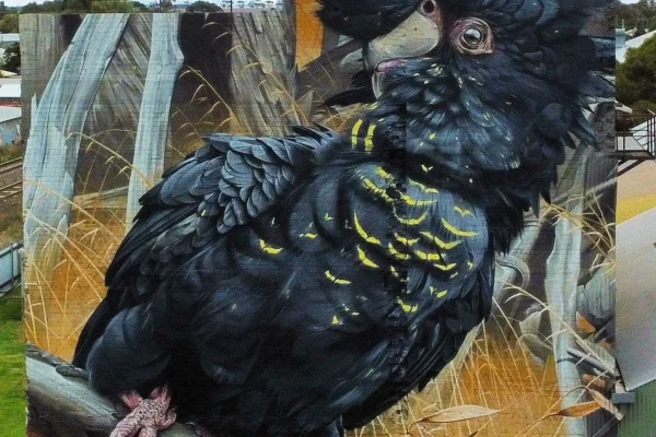 Rosehaven Farms Halls Gap