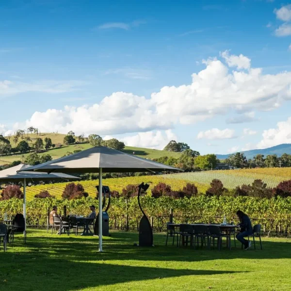 exceptional, limited-release wines