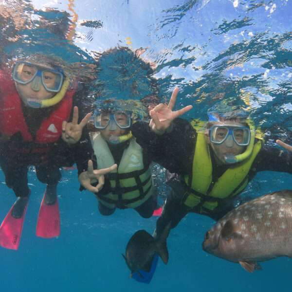 gagi-tour-outer-reef-cairns-07