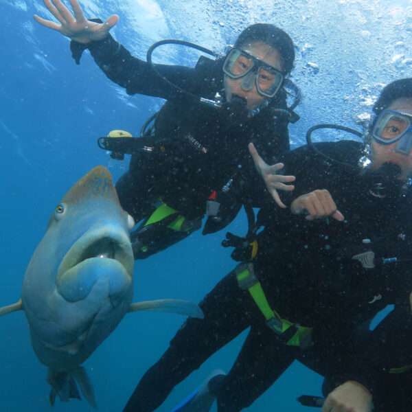 gagi-tour-outer-reef-cairns-08