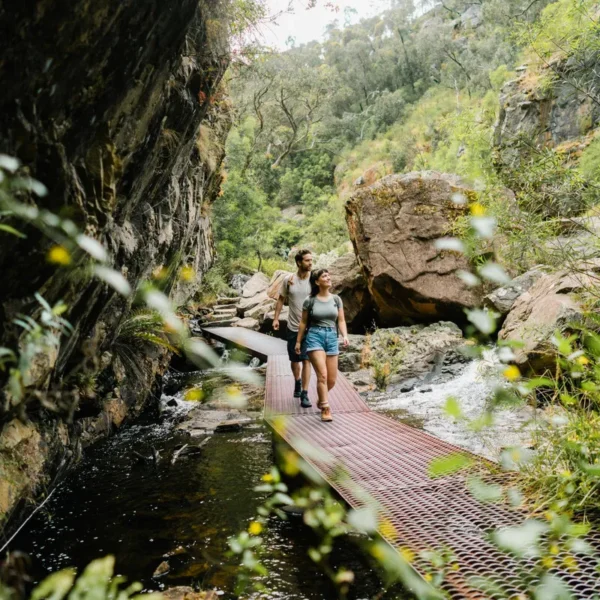 grampians hiking tours