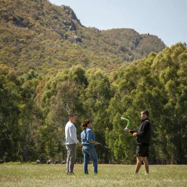 grampians national park tours