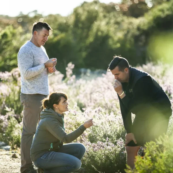 grampians one day tour