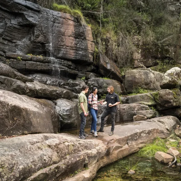 grampians tours