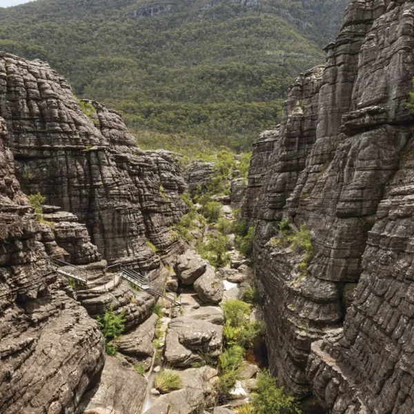 great ocean road 3 day itinerary