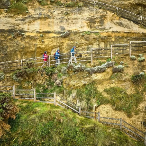 great ocean road 3 day itinerary