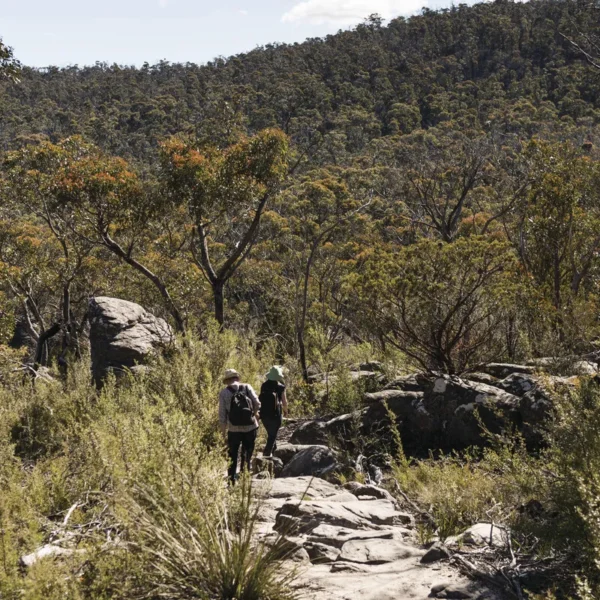 great ocean road and grampians tour