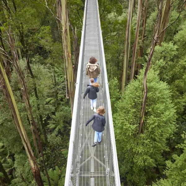 great ocean road b tours melbourne