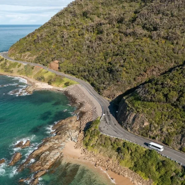 great ocean road day tours