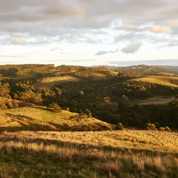 great ocean road hiking tour