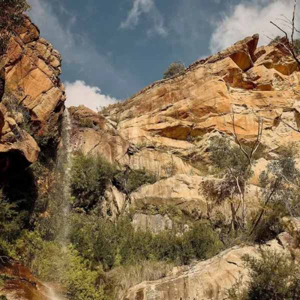 great ocean road overnight tour