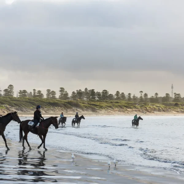 great ocean road tour 3 days