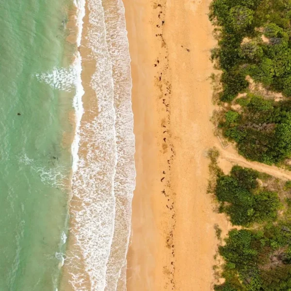 great ocean road tour cheapest