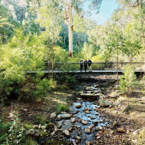 melbourne to adelaide road trip