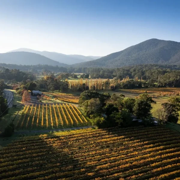 melbourne wine tours