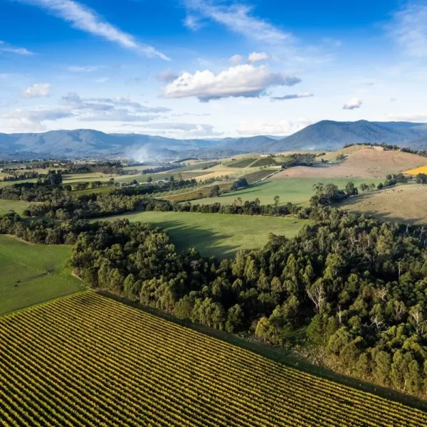 melbourne winery tours