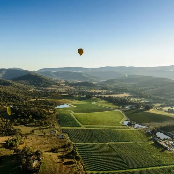 memorable wine tasting experience