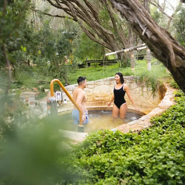 mornington peninsula hot spring tour
