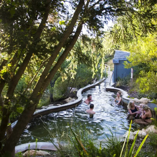 mornington peninsula hot springs day tour