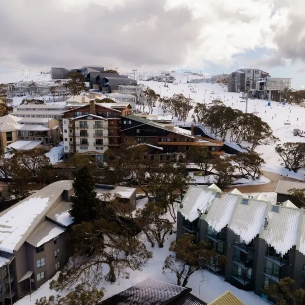 mount buller day trip