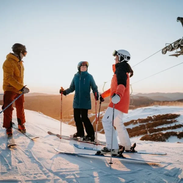 mt buller day trips