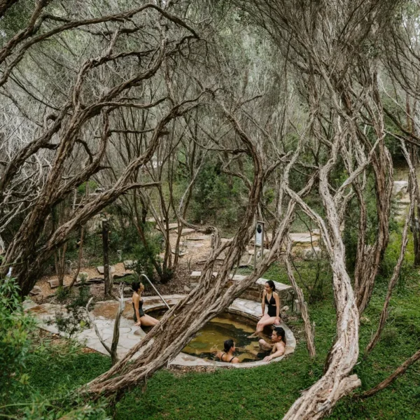 peninsula hot springs day tour
