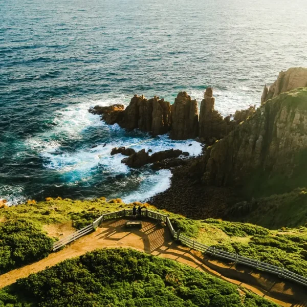 philip island day tour