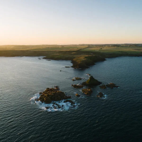 philip island tour