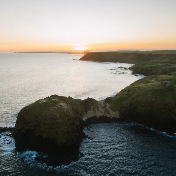 philip island tours