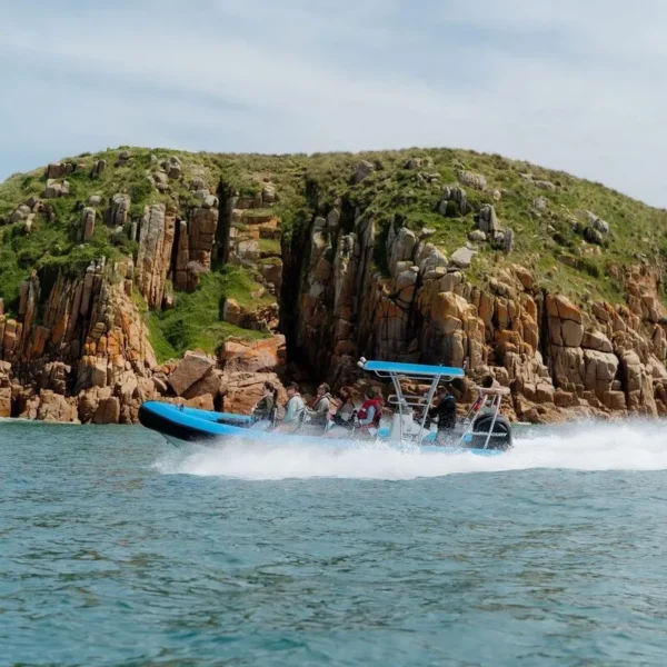 phillip island day tour melbourne